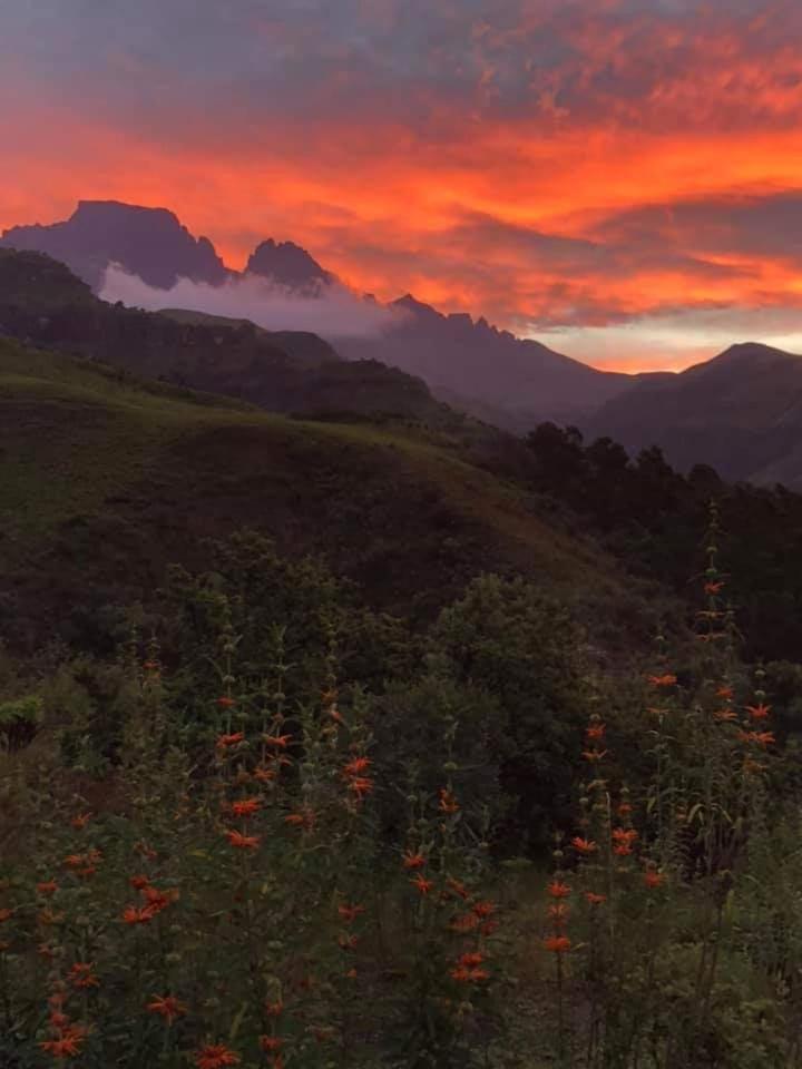Misty Peaks Cloudlands Villa Bergview Buitenkant foto